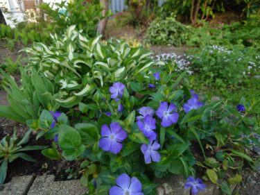 北竜町長 佐野豊 活動報告・6月16日（木）北竜振興公社職員採用試験、サンフラワーパーク経営会議、北竜町公共施設再配置検討委員会