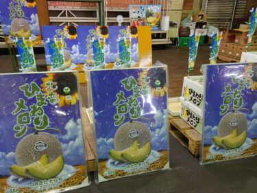 北竜町長 佐野豊 活動報告・6月18日（土）ひまわりメロン初出荷（旭一市場）