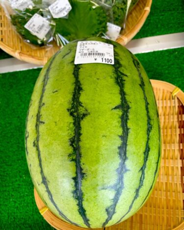 हमारे पास एक मैडरबॉल तरबूज़ 🍉 स्टॉक में है। सूरजमुखी के खरबूजे भी दोपहर के भोजन के समय उपलब्ध होंगे 🍈🍈【मिनोरिच होकुर्यु】