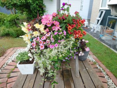 Báo cáo hoạt động của Thị trưởng Yutaka Sano của thị trấn Hokuryu; Ngày 23 tháng 6 (Thứ năm) Cuộc họp bất thường của Hội đồng quản trị Tập đoàn nông nghiệp Hokkaido (Thành phố Sapporo)