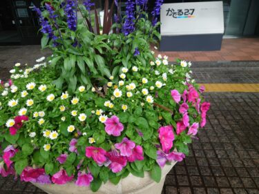 北竜町長 佐野豊 活動報告・6月24日（金）北海道農業会議常設審議委員会（札幌市）