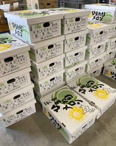 Chúng tôi đã nhận được rất nhiều dưa hướng dương 🍈 từ chiều, vì vậy chúng tôi rất mong chờ chuyến thăm của bạn vào ngày mai [Minoricchi Hokuryu]