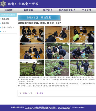 【世界のひまわり】紹介動画作成班会議、除草、間引き（6.27）【北竜中学校】