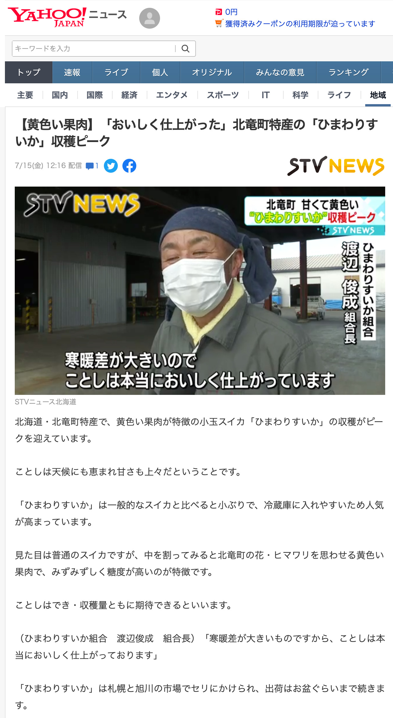 [Thịt vàng] Đặc sản "Dưa hấu hướng dương" của thị trấn Hokuryu đạt đỉnh thu hoạch (STV News Hokkaido) [Yahoo]