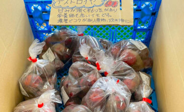 本日の初お目見えはデストロイヤーのじゃがいも🥔【みのりっち北竜】