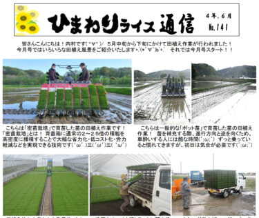 ひまわりライス通信 No.141・令和4年6月【ＪＡきたそらち北竜支所】