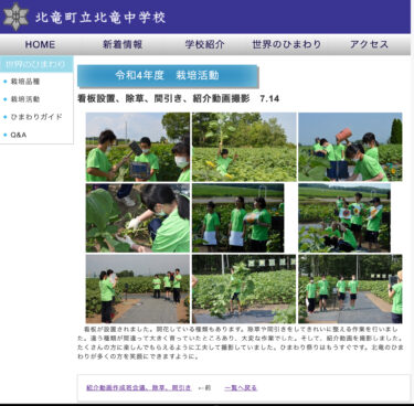 看板設置、除草、間引き、紹介動画撮影　7.14：ひまわり祭りはもうすぐです。北竜のひまわりが多くの方を笑顔にできますように【北竜中学校】