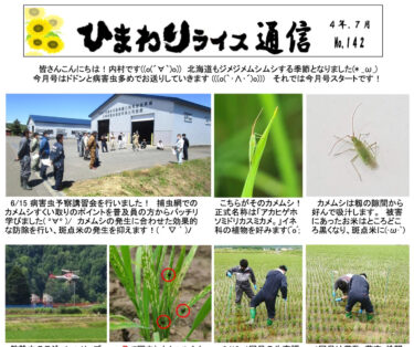 ひまわりライス通信 No.142・令和4年7月【ＪＡきたそらち北竜支所】