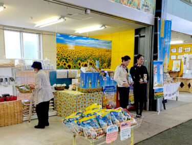 ひまわりの里いよいよ本日オープン ♪  みのりっち北竜2号店も開店です🍈 メロン、西瓜 🍉 と並んでいます【みのりっち北竜】