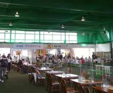 本日（7/23）より、ひまわりの里がオープン！！沢山のひまわりの前でけん玉動画撮影いかがですか～ 🌻【北竜けん玉クラブ】