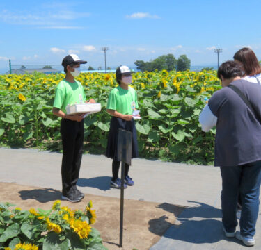 北竜中学校による世界のひまわりガイドが行われました。生徒さんたちが自らの手で育てたひまわりを観光客の皆様方に熱心にガイドしていました【北竜町ひまわり観光協会】