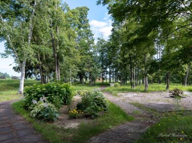 नॉनो वन में गर्मियों की शुरुआती हवा बहती है