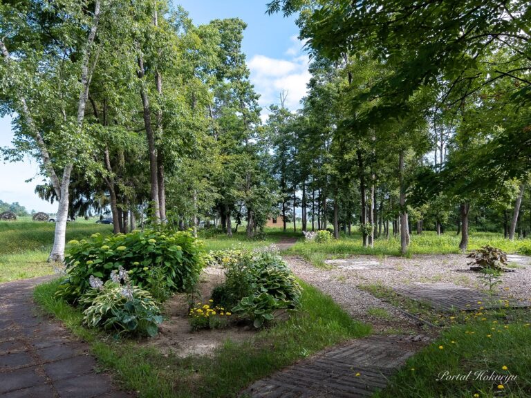 静寂なゆらぎ空間