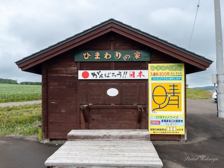 ひまわり迷路の文字は「晴」