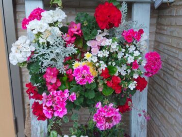 北竜町長 佐野豊 活動報告・6月30日（木）北竜町民生員推薦委員会、北空知振興圏協議会（沼田町）