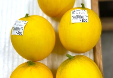 आज (7/5) हमारे पास कुछ नए उत्पाद हैं। रेसोल मेलन, त्सुरुमुरासाकी गोया अब उपलब्ध हैं। [मिनोरिच होकुर्यु]