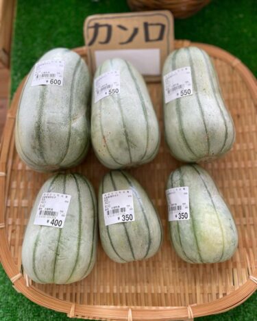 初お目見えがまた入りました。甘露と空豆が入りました【みのりっち北竜】