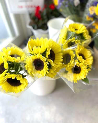 午後からやっと雨が☂️降り出しました。少し涼しくて気持ちがいいです ♪ 切花がはいりだしました【みのりっち北竜】