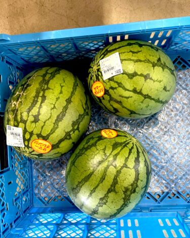 Bu gün üç günlük həftə sonunun son günüdür və bu səhərdən etibarən çoxlu müştərimiz var. Bugünkü ilk ov 3 şakudur [Minoriç Hokuryu]