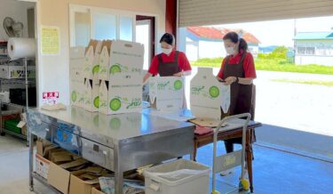 JAL Hometown Destek Ekibi'nden iki üye gelip mağazada ürün satışı deneyimi yaşadı. Minoritch Hokuryu'da, yoğun sezonda her gün kavun ve karpuz göndermekle oldukça meşgulüz. [Minorich Hokuryu]