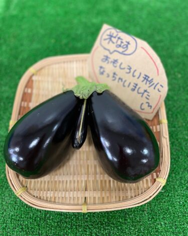 面白い米ナスが？ 何に見えるでしょか？ 西瓜 🍉 メロン🍈 本日は並んでいます【みのりっち北竜】