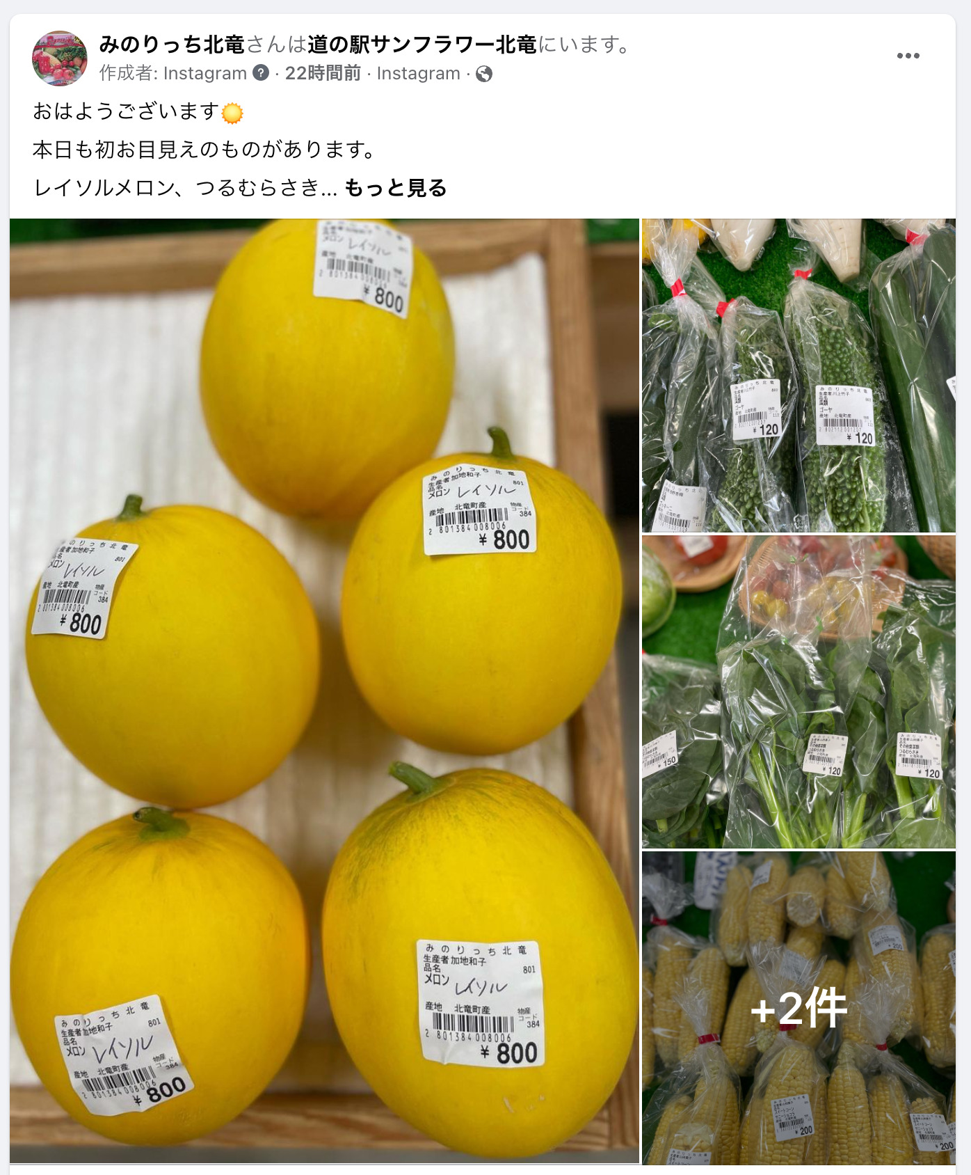 みのりっち北竜