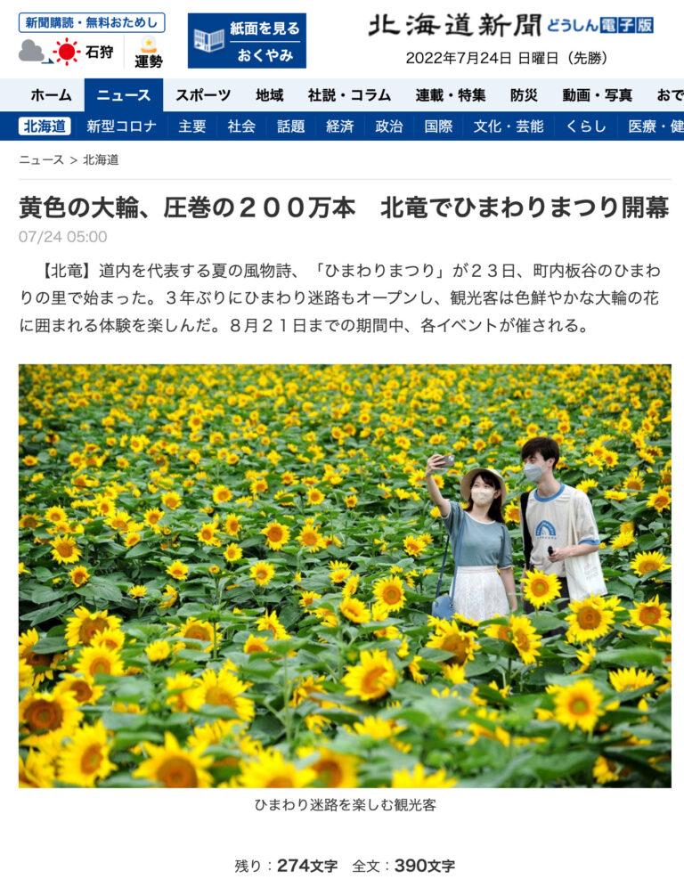 黄色の大輪、圧巻の２００万本　北竜でひまわりまつり開幕：北海道新聞 どうしん電子版