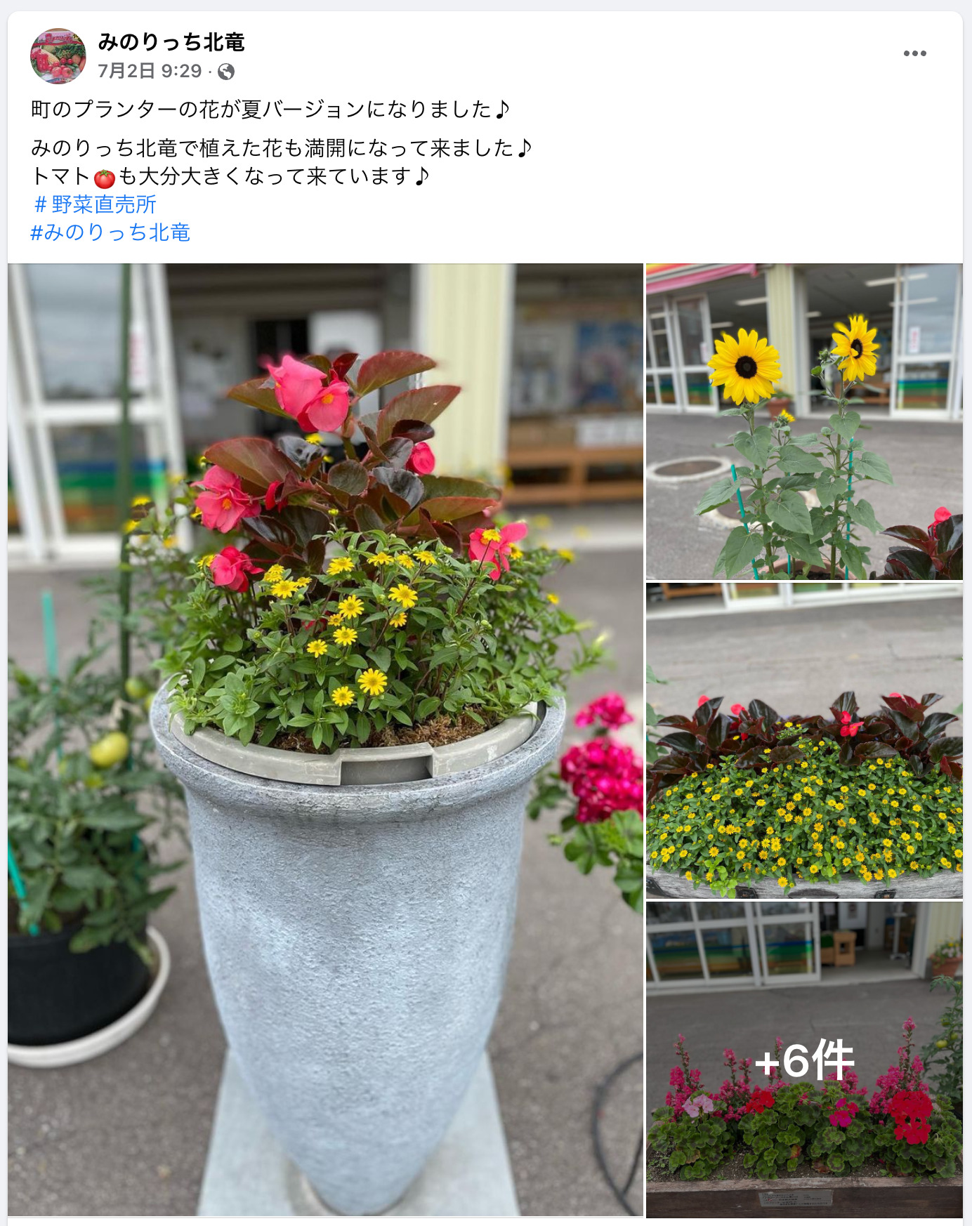 町のプランターの花が夏バージョンになりました みのりっち北竜で植えた花も満開になって来ました みのりっち北竜 北竜町ポータル