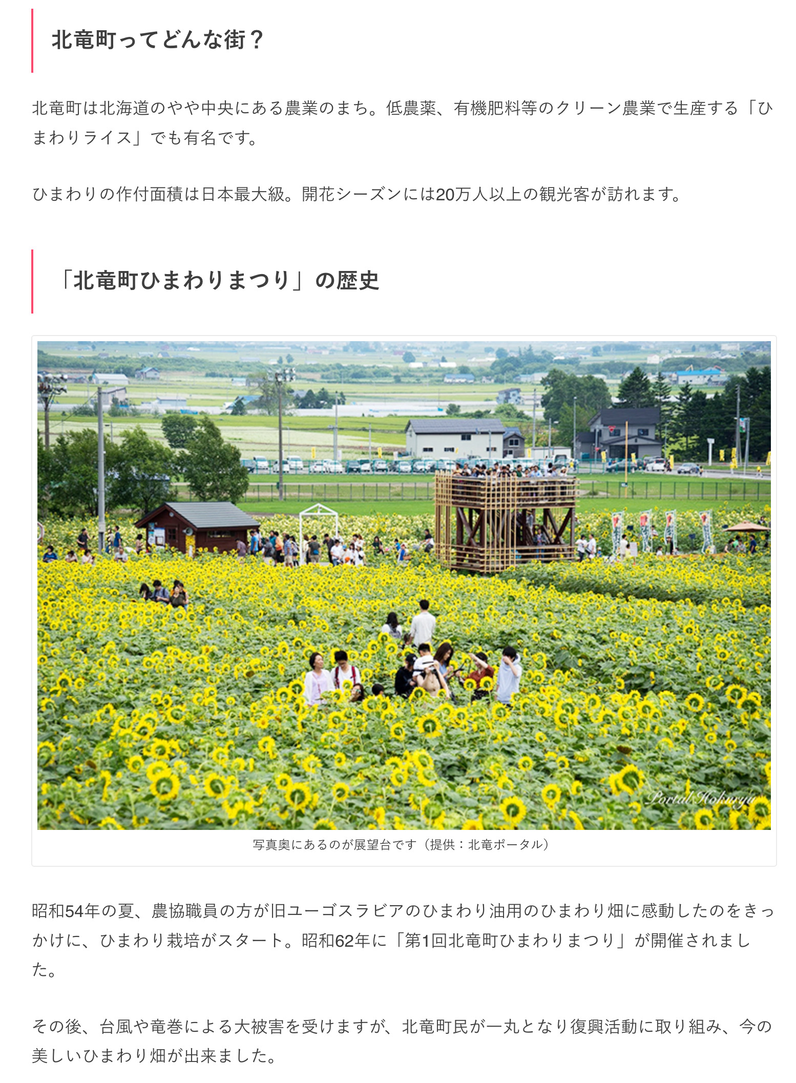 Hokuryu Günəbaxan Festivalının tarixi