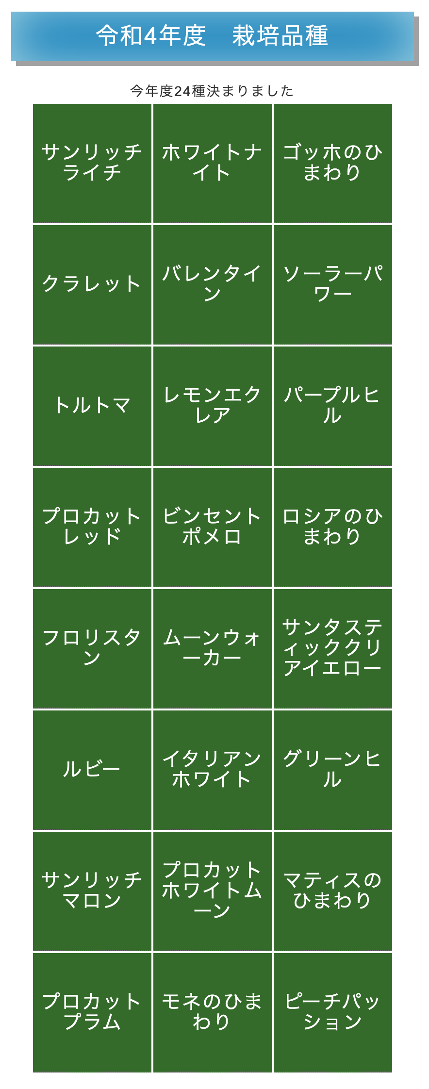 世界のひまわり・栽培品種 2022（北竜中学校）