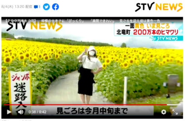 【動画】２００万本もの花　規模の大きさに「びっくり」「満開できれい」見ごろを迎え畑は黄色一色（STVニュース）【Yahoo!ニュース】