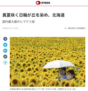 [वीडियो] जापान का सबसे बड़ा सूरजमुखी का खेत गर्मियों के बीच पहाड़ियों को खिलते सूरजमुखी से रंग देता है [क्योडोन्यूज़]