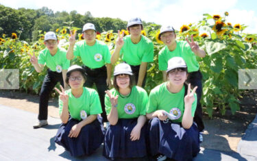 ひまわり２００万本見頃です　北竜町『ひまわりまつり』開催中…あの街行く北海道【スポーツ報知】