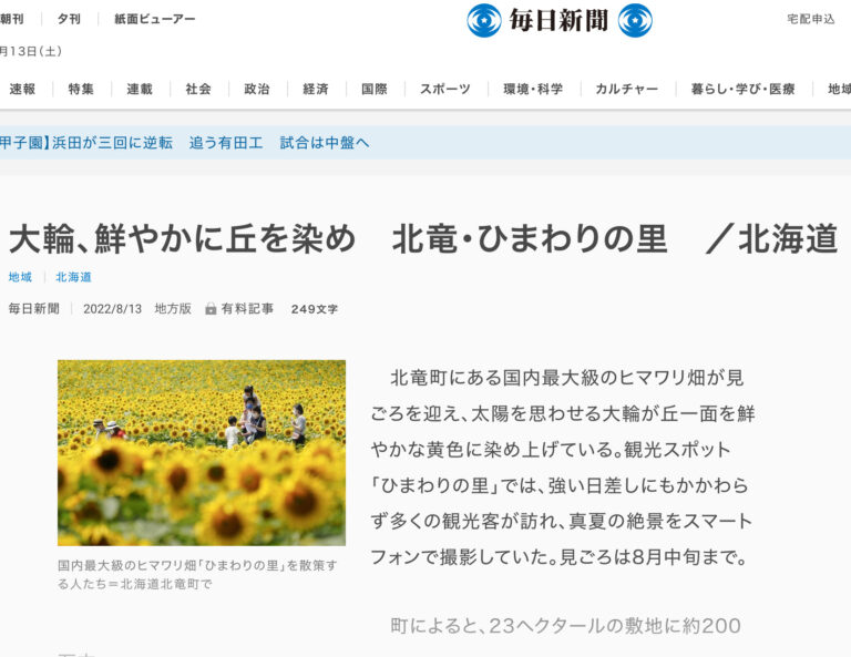 大輪、鮮やかに丘を染め　北竜・ひまわりの里　／北海道【毎日新聞】