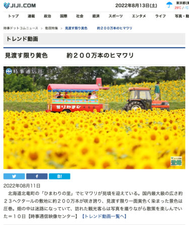 【動画】北海道北竜町の「ひまわりの里」見渡す限り黄色　約２００万本のヒマワリ【時事通信社】