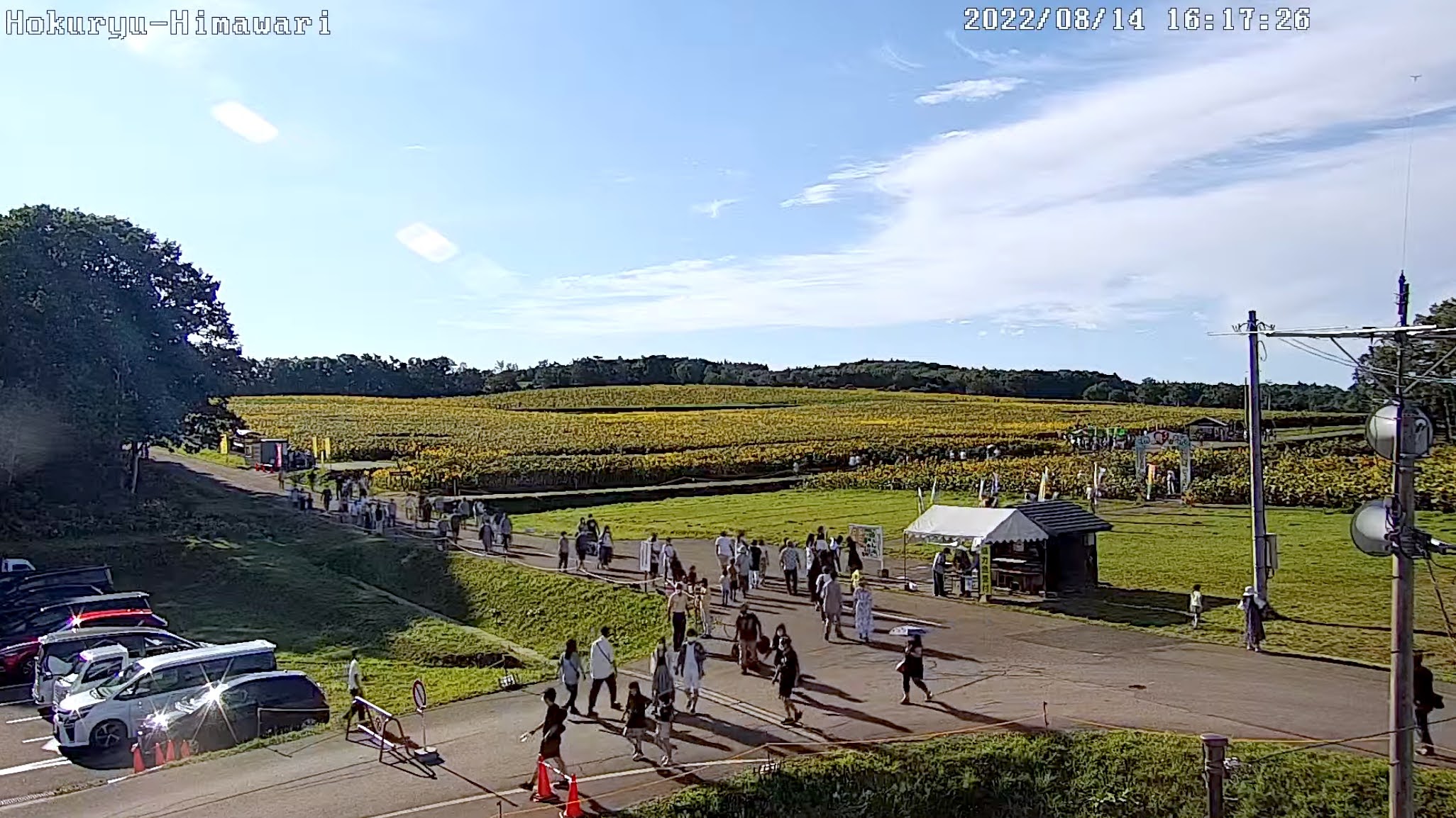 北竜町ひまわりの里・北竜町ひまわり観光協会ライブカメラ映像から