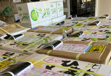 ひまわりメロン🍈も終わりに近づいてあとお店にあるもので終わりとなりそうです。ひまわり西瓜 🍉 はまだなんにちか有ると思います【みのりっち北竜】