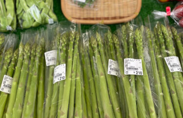 ひまわり🍈 メロンはお盆前で本年度は終了しまし。ひまわり西瓜 🍉 はまだあります。ご来店お待ちしています【みのりっち北竜】