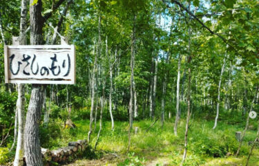 久しぶりの「永の森」での活動：下草刈り、白樺の伐採【永の森活動組織（加藤宰 代表）】