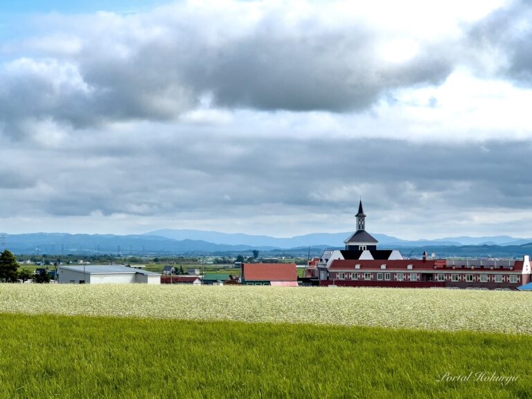 北竜温泉＆そば畑＆緑の田んぼが混じり合う風景
