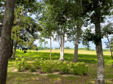 秋の装い「ノンノの森」北竜町ひまわりの里