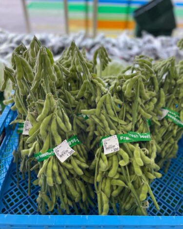 昨日も初物がありました。枝豆、夕顔です。スイトコーンも色々と入って来ています【みのりっち北竜】