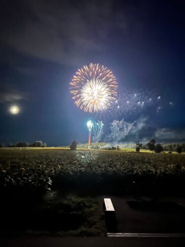 北竜町長 佐野豊 活動報告・8月5日（金）ひまわりオイルサミット打合せ、ひまわりの里散策