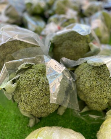 今日（8/19）は朝からとても良いお天気です♪ 本日も沢山品物が揃いました【みのりっち北竜】