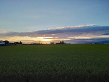 北竜町長 佐野豊 活動報告・8月16日（火）終日事務書類整理