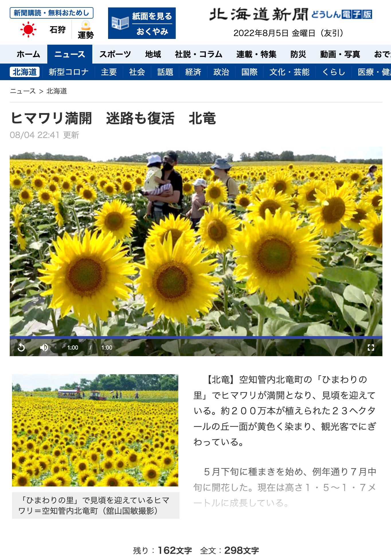 ヒマワリ満開　迷路も復活　北竜：北海道新聞 どうしん電子版