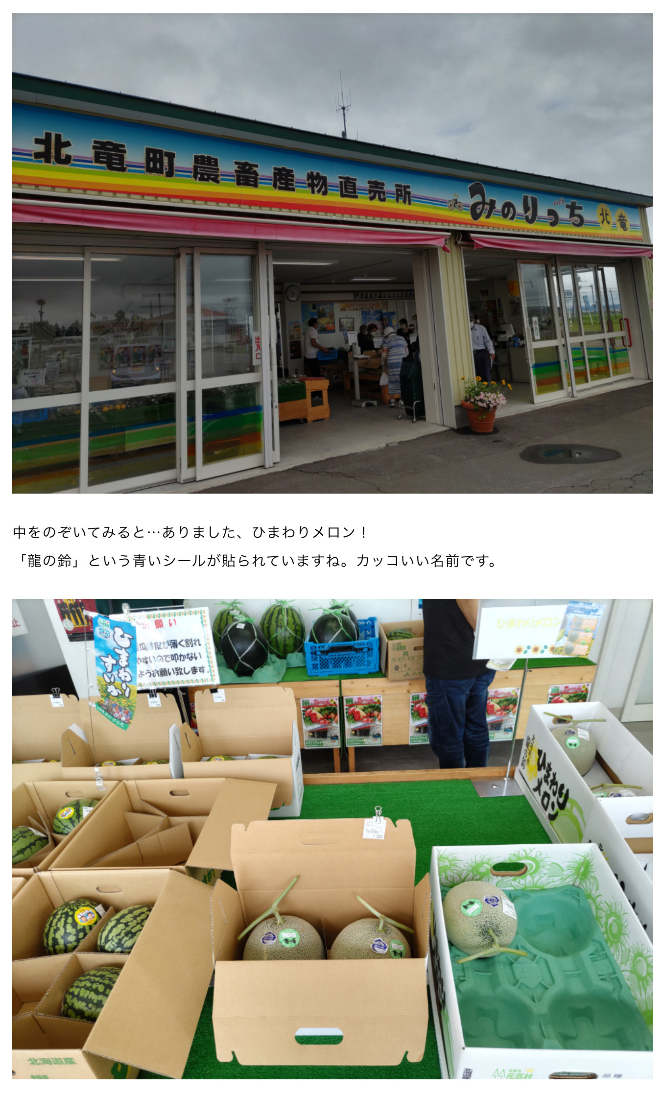 国道275号メロンの旅&空知のメロンを食べ比べてみた話(北竜ひまわりメロン、暑寒メロン、うらうすメロン)【そらち・デ・ビュー】