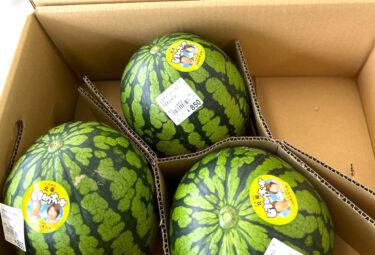 ひまわり西瓜 🍉 が少しですが入荷しました。これが最後かも❓ 紫玉ねぎ、冬瓜、枝豆と色々揃っています ♪【みのりっち北竜】