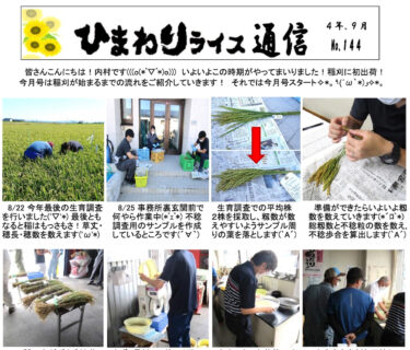 Ayçiçeği Pirinci Haber Bülteni No. 144, Eylül 2022 [JA Kitasorachi Hokuryu Şubesi]
