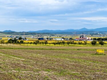哀愁と静寂さが混じり合うひまわりの里！